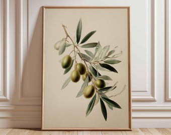 Vintage Olive Branch Botanical Art Print, Mediterranean Decor