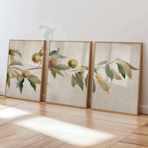 Chestnut Tree Wall Art Set of 3, Botanical Leaf Poster Prints, Rustic Nature Branch Decor, Vintage Chestnut Plant Artwork for Home or Office