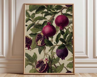 Vintage Pomegranate Botanical Print, Mediterranean Kitchen Wall Art