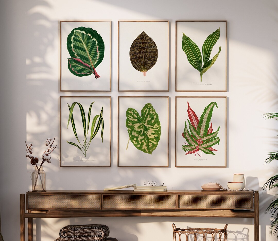 Set of 6 Botanical Prints Gallery Wall Vintage Botanical Etsy