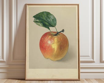 Vintage botanische appelprint, rustieke boerderijkeuken muurkunst
