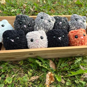 May include: A wooden tray filled with ten crocheted cat plushies in various colors, including white, black, gray, and orange. Each plush has black eyes and a pink nose. The tray sits on a bed of green grass.