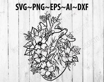 Download Anatomical Heart Svg Etsy