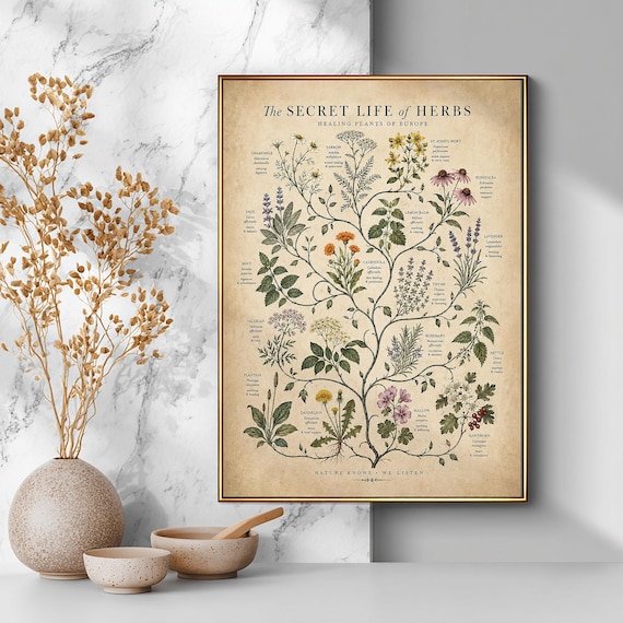 Medicinal Herbs of Europe Poster, Vintage Botanical Chart, Healing Plants Print, Herbalism Wall Art, Apothecary Botanical Illustration