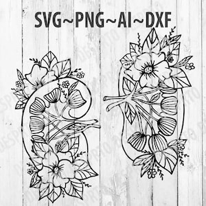 Rim humano floral svg, impressão anatômica dos rins do sistema de nefrologia, presente médico de urologia png, silhueta para impressão de anatomia