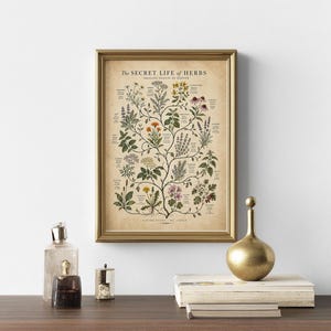 May include: A framed botanical print titled The Secret Life of Herbs, featuring detailed illustrations of various plants with labels in a branching arrangement on a beige background, displayed in a metallic gold frame.