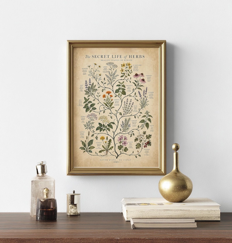 May include: A framed botanical print titled The Secret Life of Herbs, featuring detailed illustrations of various plants with labels in a branching arrangement on a beige background, displayed in a metallic gold frame.