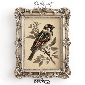 Gorrión boho en el bosque, decoración rústica de pájaros, imprimible para guardería, decoración rústica de granja, pintura de arte de pared boho, póster estético