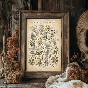 May include: A framed botanical print titled The Secret Life of Herbs, Healing Plants of Europe, featuring detailed illustrations of various plants with labels in a branching tree design on a beige background, enclosed in a rustic wooden frame.