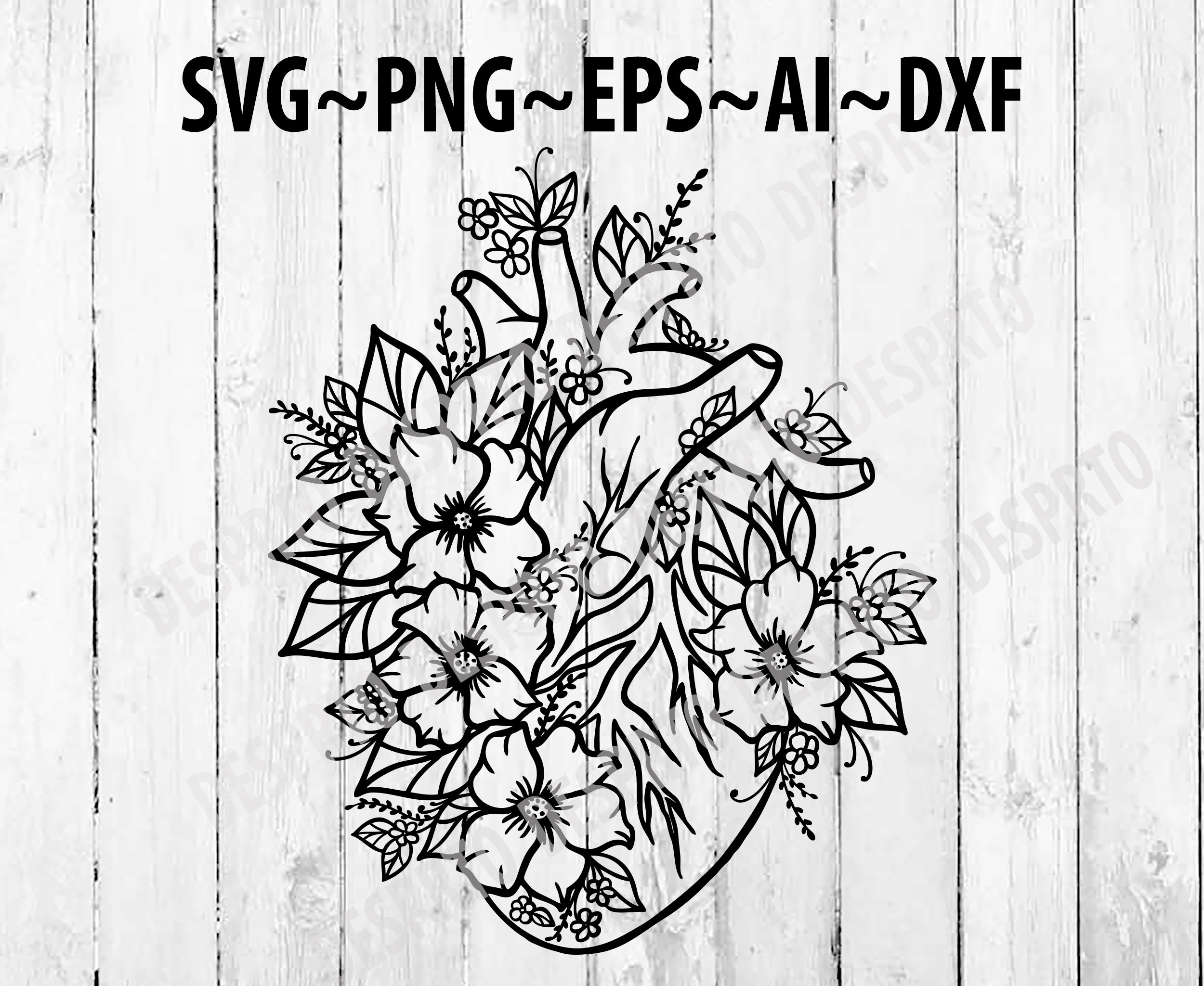 Free Free Heart Anatomy Svg 902 SVG PNG EPS DXF File