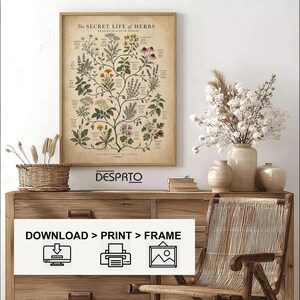 May include: A framed botanical wall art print titled The Secret Life of Herbs, featuring detailed illustrations of various plants with scientific labels on a beige background. Below the print, the text reads DOWNLOAD > PRINT > FRAME.