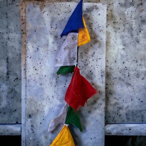 Tibetan Prayer Flags | Hand Screen Printed Lungta Bunting image 4