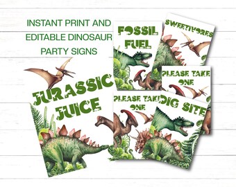 Editable Dinosaur Birthday Signs 11  Different Dinosaur Signs 8 x 10 inch Instant Printable Dinosaur Birthday Signs 11 Different Designs