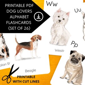 Alphabet Flashcards Printable, Dog Breed Flashcards, Montessori Learning Materials, ABC Flashcards, Alphabet Teaching, Preschool Printables