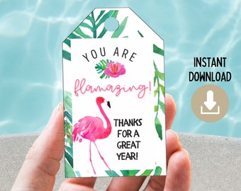 You are Flamazing Printable Gift Tag, Last Day of School Favor, Flamingo Teacher Gift, Flamazing Teacher Summer, End of School Student Gift