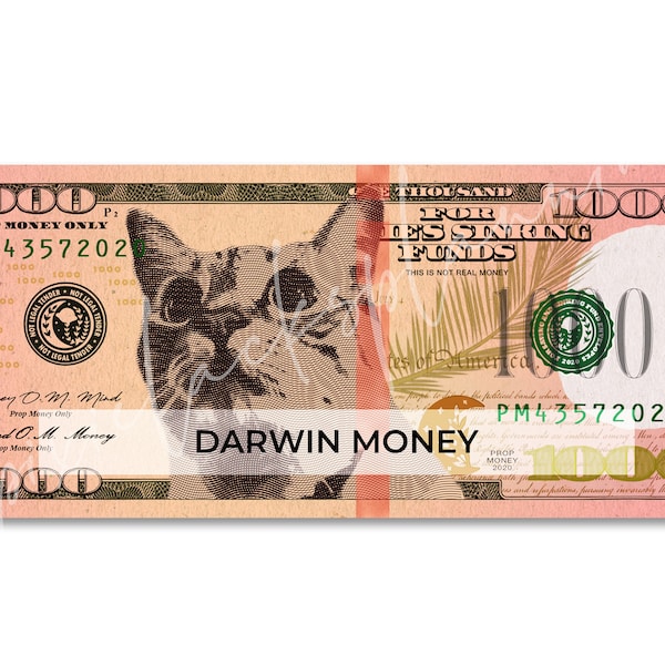 Printable 1000 Dollar Bill | Prop 1000 Dollar Bill | 1000 Placeholder for Sinking Funds | DIGITAL ART ONLY | Darwin Money Design!