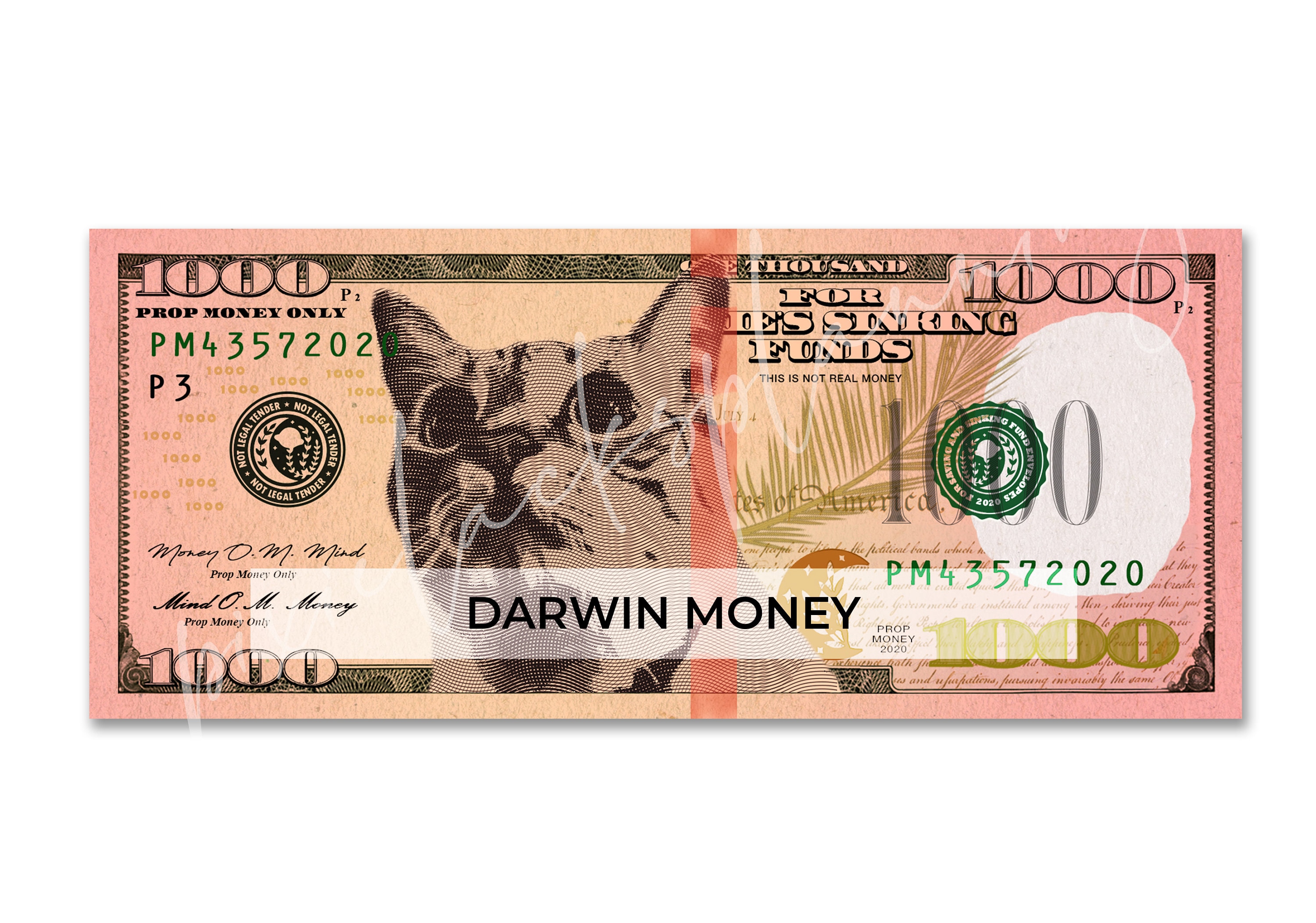 printable-1000-dollar-bill-prop-1000-dollar-bill-1000-etsy-australia