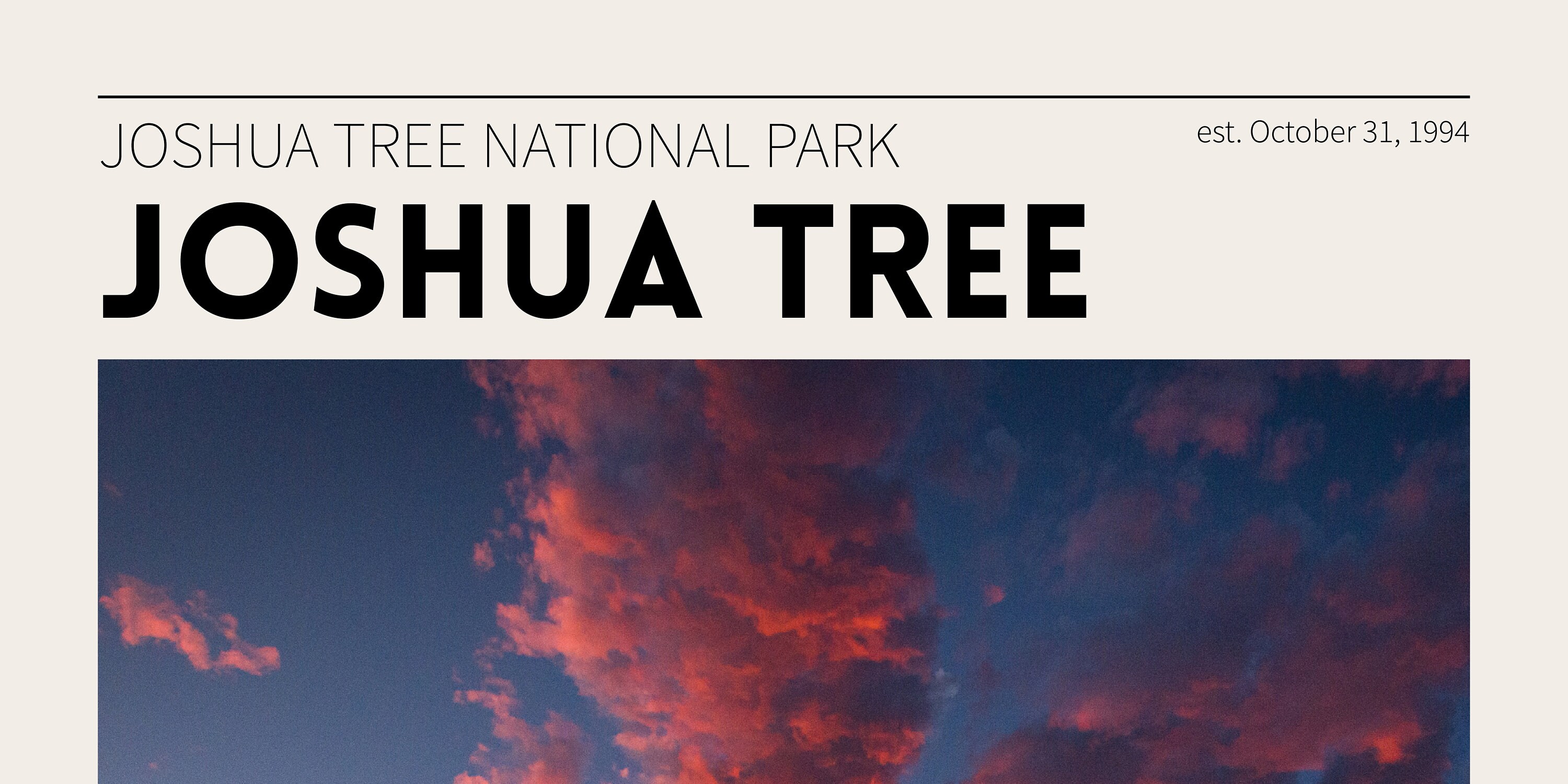 Joshua Tree National Park Poster / California Travel Print / Vintage ...