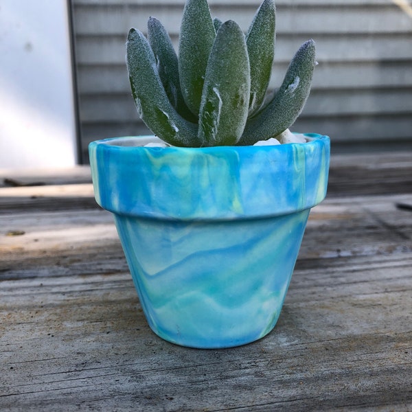 Hand painted glow in the dark marbled terra cotta pot with rocks and succulent