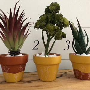 May include: Three potted plants with different types of greenery. The plants are in terracotta pots with a yellow and brown painted design. The pots are labeled 1, 2, and 3.