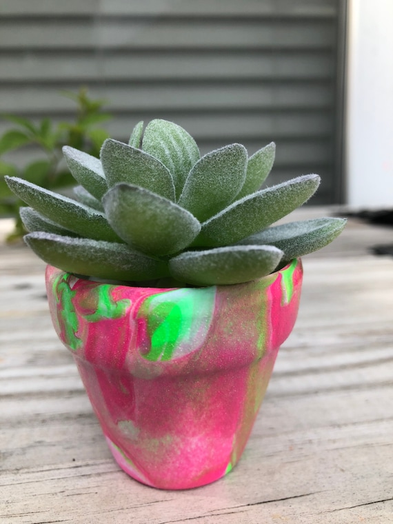 Hand Painted Glow in the Dark Marbled Terra Cotta Pot With Rocks and  Succulent - Etsy