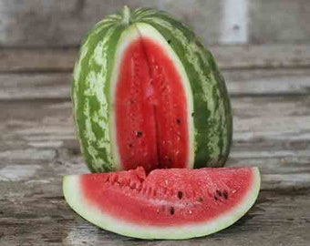 Watermelon Seeds Etsy