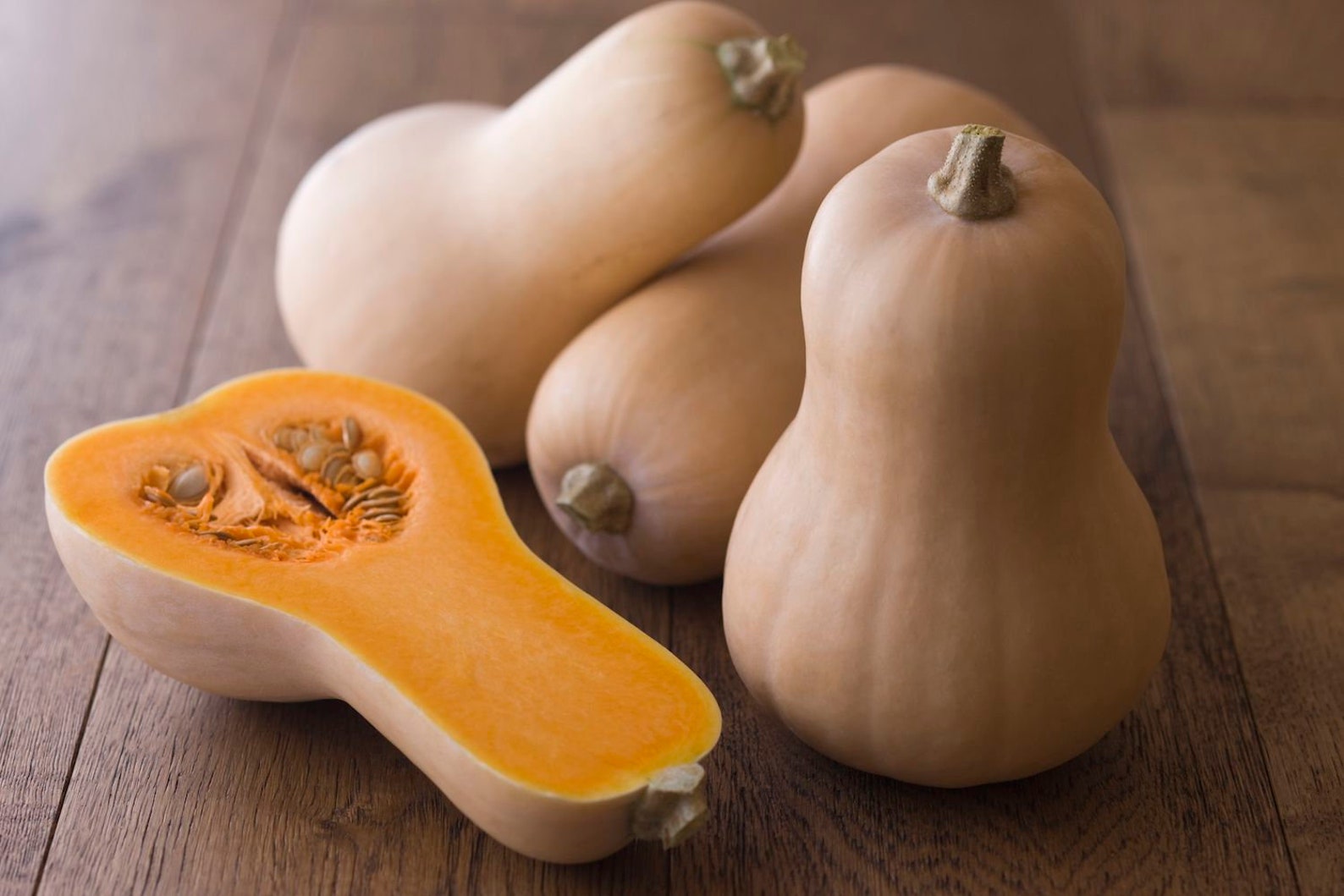Тыква баттернат семена. Тыква баттернат семена. Тыква мускатная баттернат. Тыква баттернат жемчужина. Squash овощ.