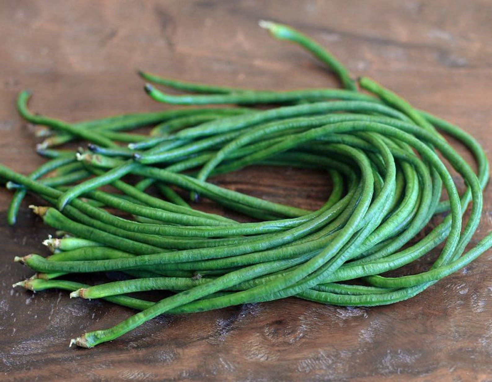 50 PYTHON BEAN SEEDS Yard Long Beans Asian Beans Asian Etsy