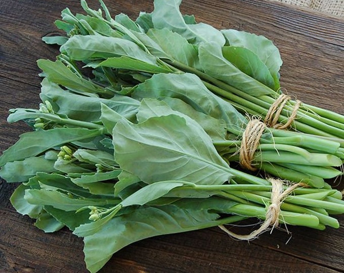 YOD FAH CHINESE Broccoli Seeds Oriental Greens Vegetable Etsy
