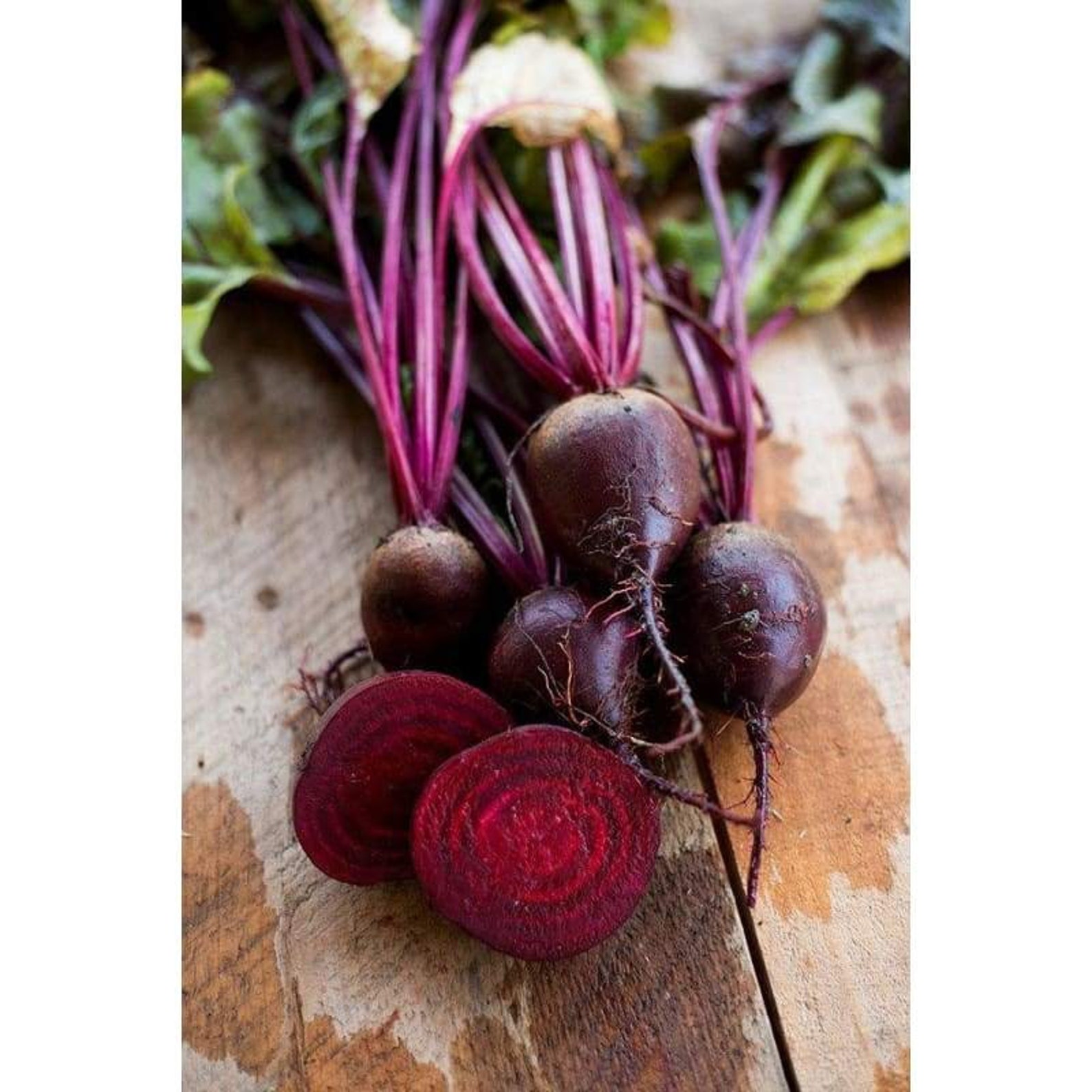 BABYBEAT BEET Seeds The Best Mini Beet Heirloom Seeds | Etsy