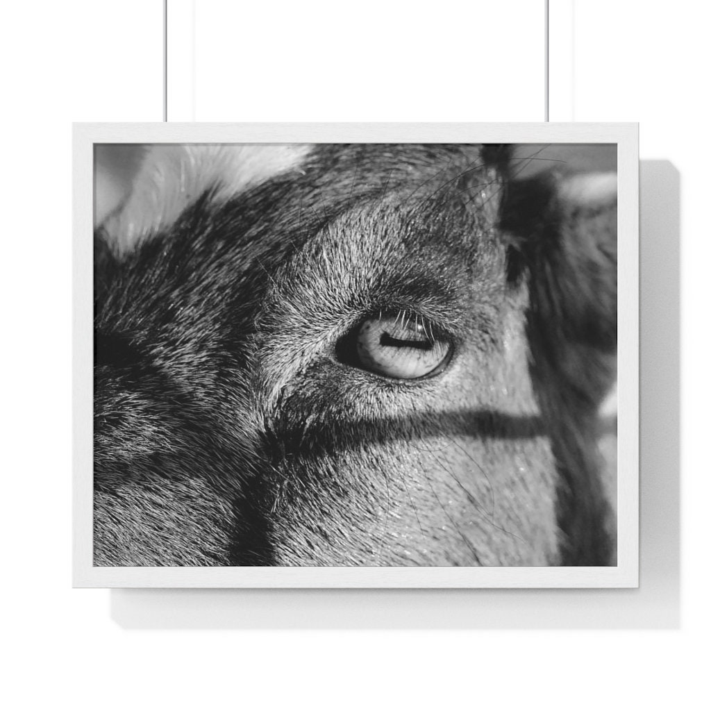 Premium Framed Animal Portrait Poster Etsy