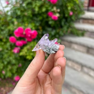 Vera Cruz Amethyst, Raw Amethyst Specimen, Amethyst Cluster Point, Vera Cruz Cluster, Amethyst on Matrix, Vera Cryz Amethyst Point, 6