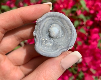 Raw blue chalcedony rose, Angel Aura coated chalcedony rose, Galaxy aura druzy chalcedony, Freeform Raw Chalcedony, Sparkly Chalcedony 07