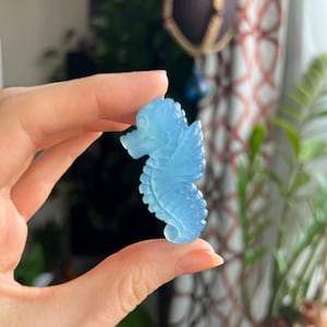 Aquamarine Seahorse, Aquamarine Crystal Carving, Aquamarine Carving, Mini Aquamarine Crystal, Aquamarine Pocket Stone, Carved Aquamarine