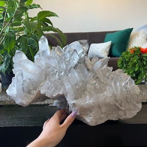 May include: A large cluster of clear quartz crystals with a rough, natural base. The crystals are arranged in a chaotic, organic pattern, creating a visually stunning and unique piece.