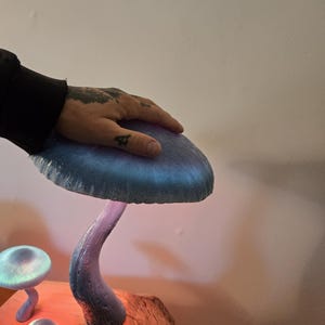 May include: A decorative lamp featuring three mushroom-shaped caps in shades of blue and purple, mounted on a natural wood base. The largest mushroom cap has a textured surface and emits a soft glow, while two smaller mushrooms are positioned nearby.