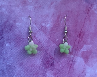 Small Succulent Earrings