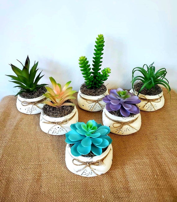 Succulent Mason Jar | Farmhouse Tray Decor | Tiered Tray Decor | Mason Jar  Decor | Succulent Nursery Decor | Succulent Wedding Centerpiece - Etsy