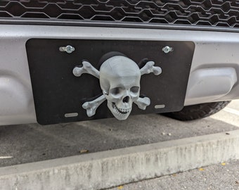 decorative skull front plate