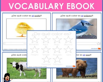 Spanish Vocabulary Practice Ebook