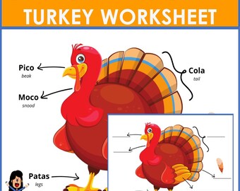 Spanish Parts of The Turkey Worksheet