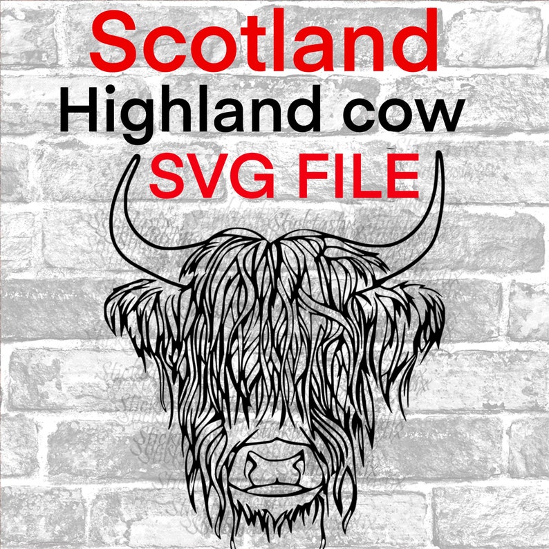 Free Free Highland Cattle Svg 575 SVG PNG EPS DXF File