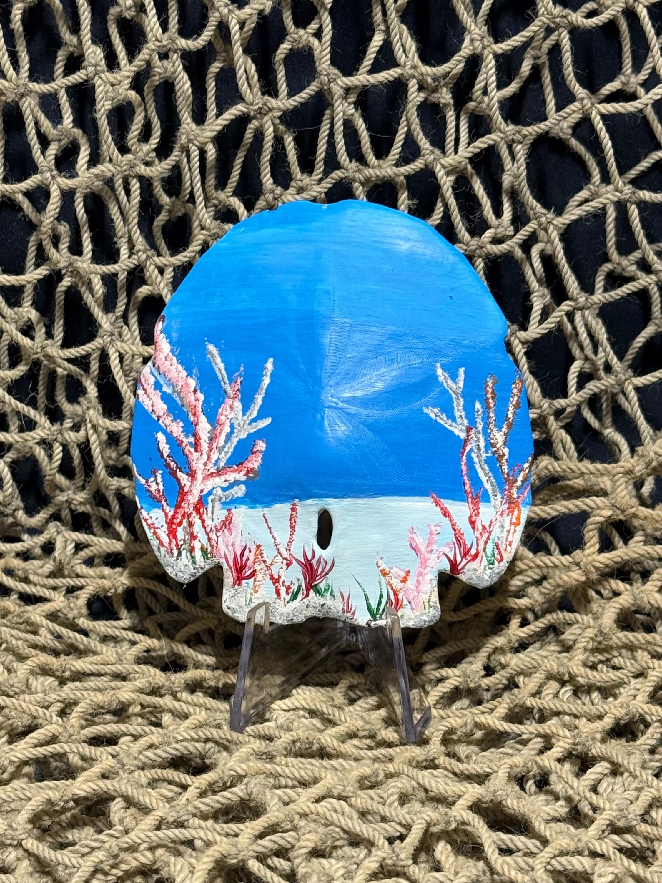 Hand Painted Sand Dollars With Display Stand (coral Reef) - Etsy