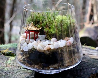 Zen Terrarium Etsy