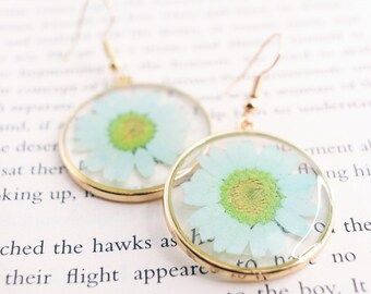 Turquoise Daisy Pressed Wildflower Earrings, Botanical Circle Resin Dangle Earrings, Gift For Her