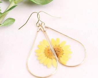 Yellow Split Daisy | Teardrop Split Flower Earrings | Daisy Earrings | Real Flower Resin Earrings | Botanical Jewelry | Pressed Flowers