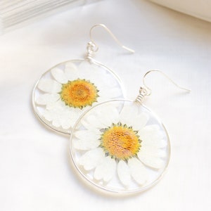 Earrings Pressed White Daisy Flowers, Silver Circle Dangle Real Flower Earrings, Botanical Resin Wildflower Earrings, Gift For Her image 2