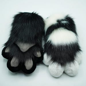 Könnte beinhalten: Zwei Plüschpfoten, eine schwarze mit grauen Pfotenpolstern und eine schwarz-weiße mit weißen Pfotenpolstern.