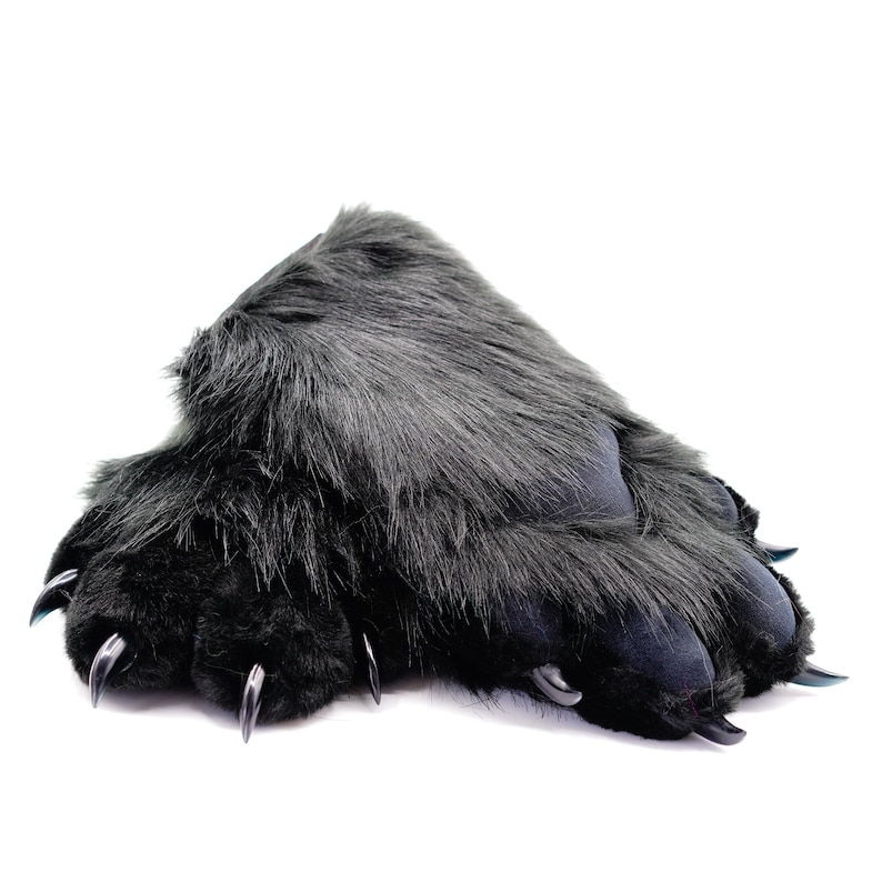 May include: Black fuzzy slippers shaped like bear paws with black claws.