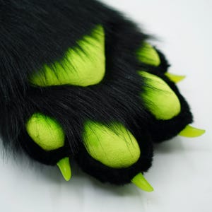 Puede incluir: Pata peluda negra con garras verdes y almohadillas verdes.